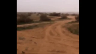 4521 big gay dick porn videos